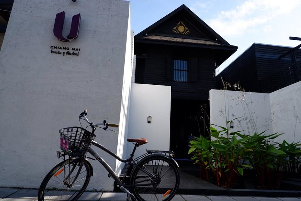 U Chiang Mai 6/50