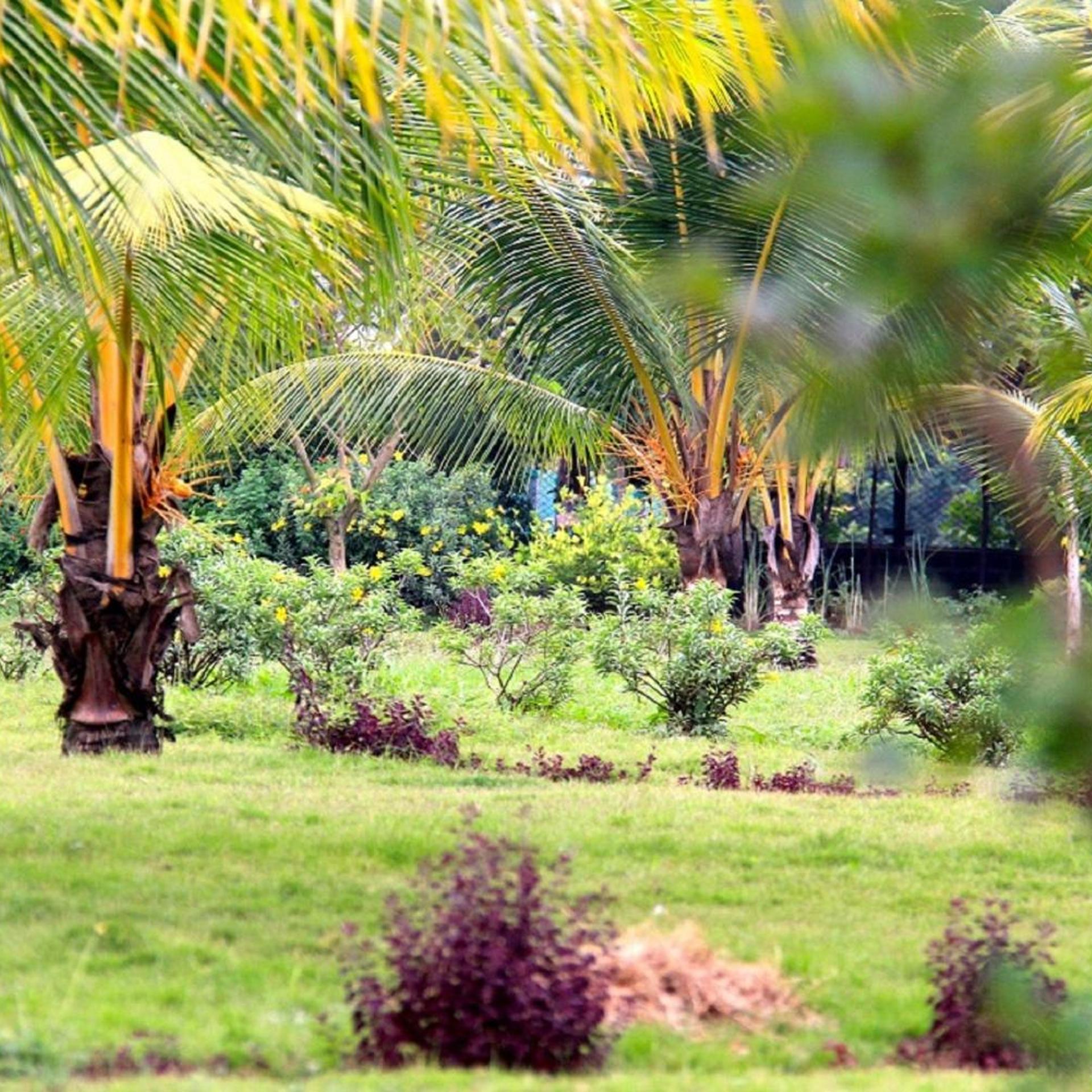 Grande Bay Resort And Spa Mamallapuram 46/52