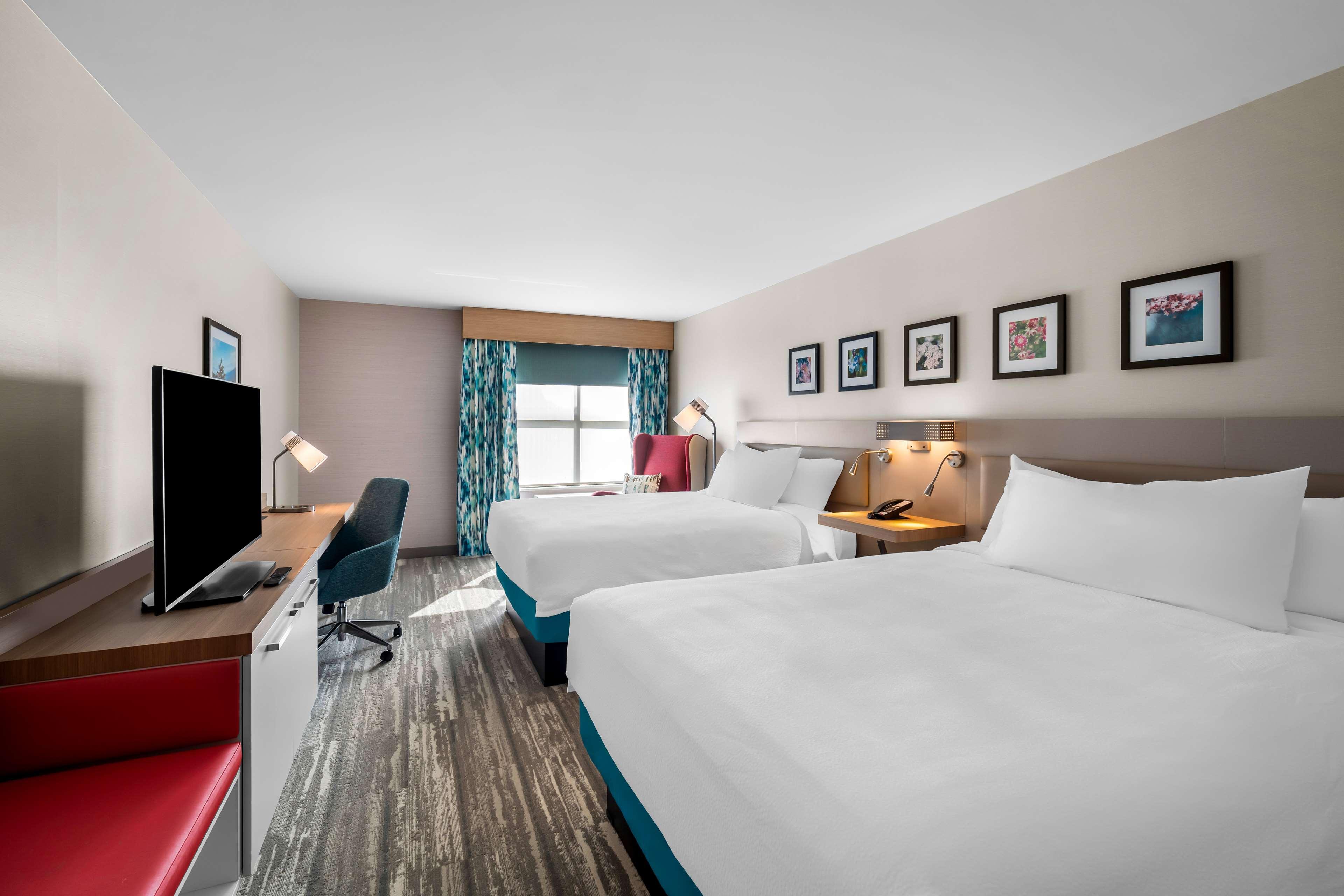 1 Bedroom, Suite, 2 Queen Beds, Sofa