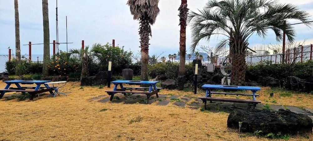 Jeju Castle 28/32
