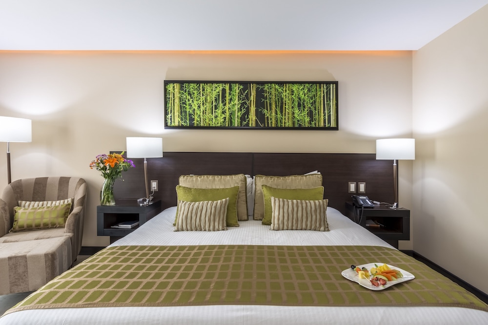 Studio Hotel Boutique 7/75