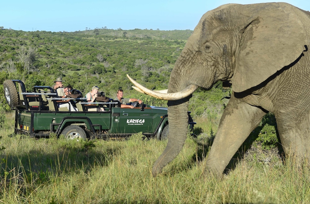 Kariega Game Reserve Main Lodge 42/50