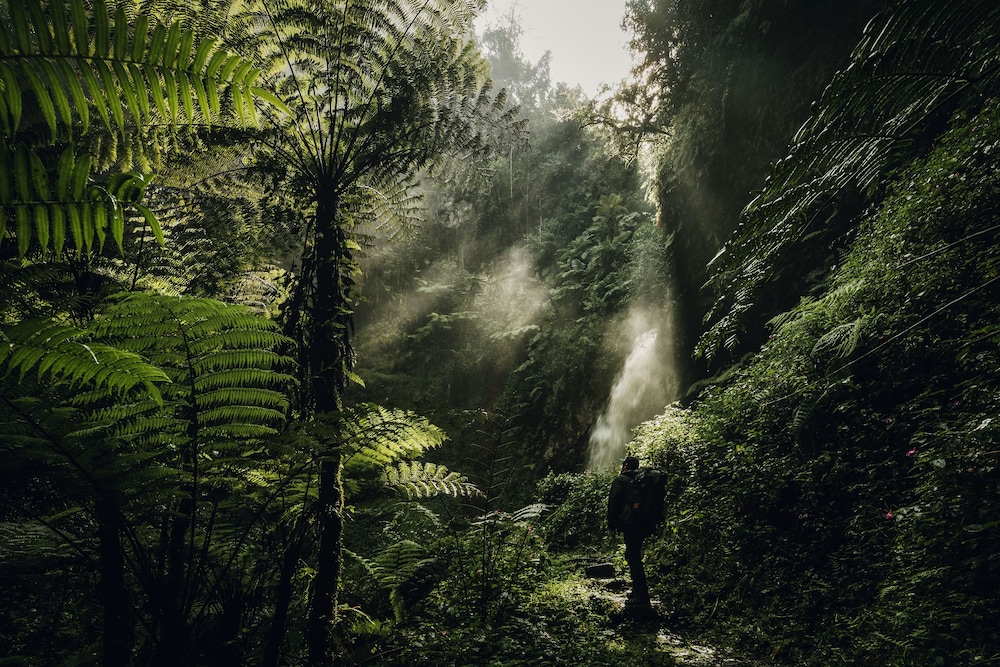 Nyungwe Tea Forest Resort 21/71