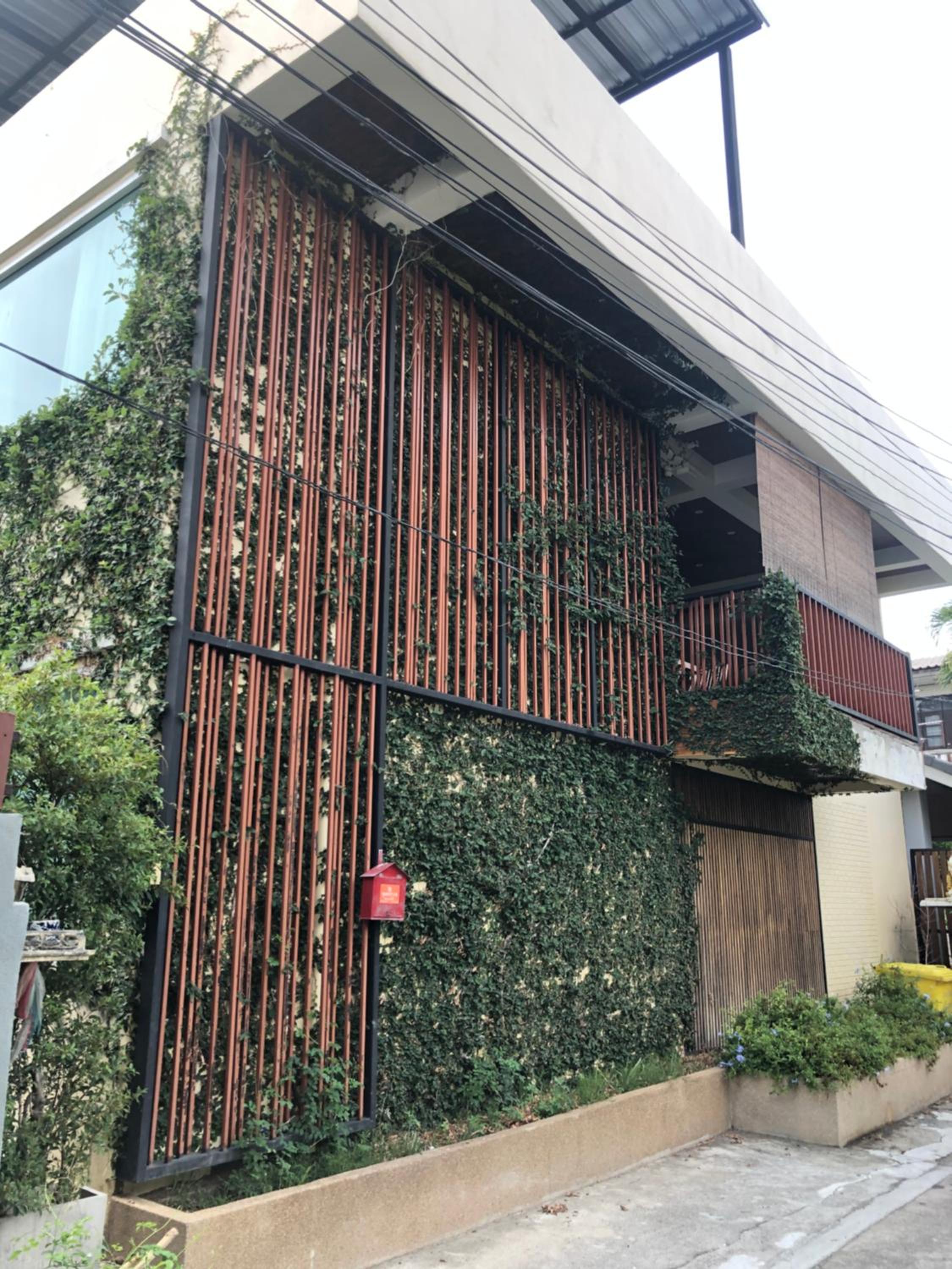 Celosia Chiang Mai 2/70