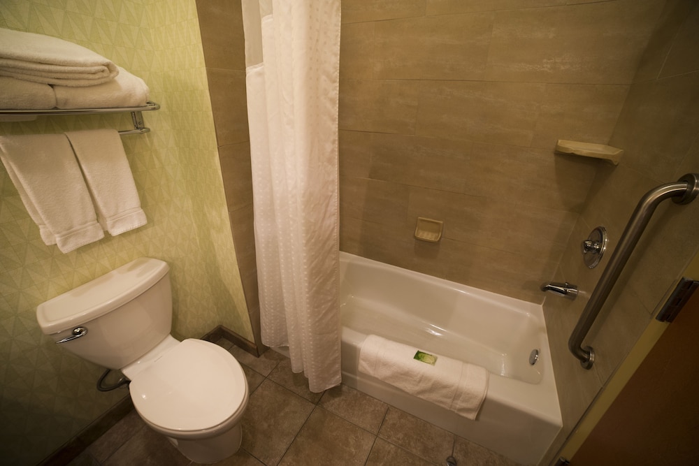 Holiday Inn Express Hotel Suites Atlanta East Lithonia 64/66