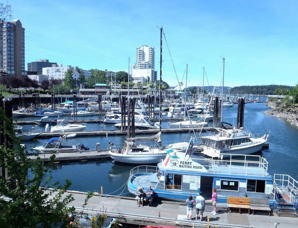 Painted Turtle Guesthouse 3/23