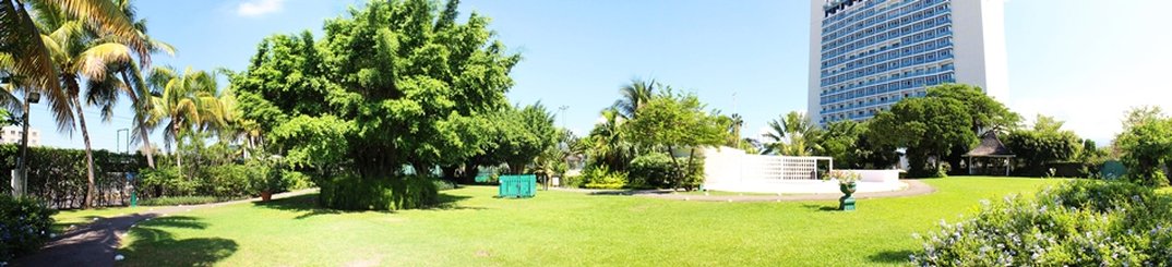 Jamaica Pegasus Hotel 97/100