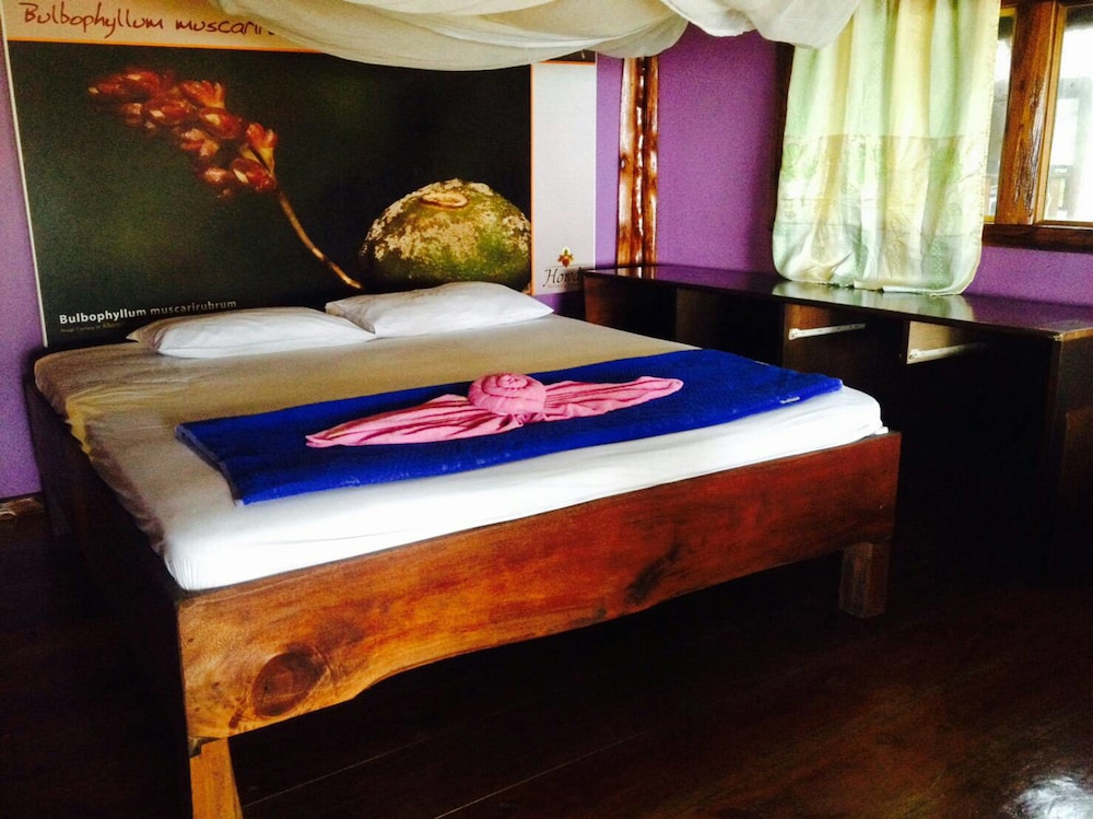 Freeda Resort Koh Jum 8/20