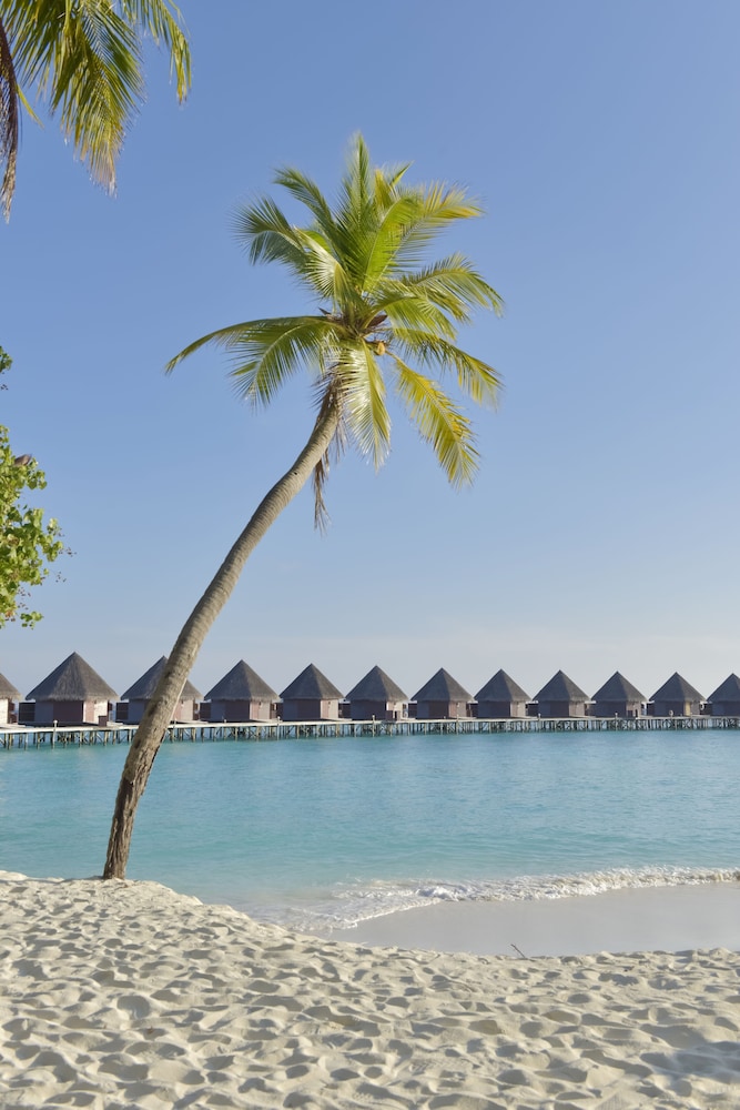 Thulhagiri Island Resort 48/58