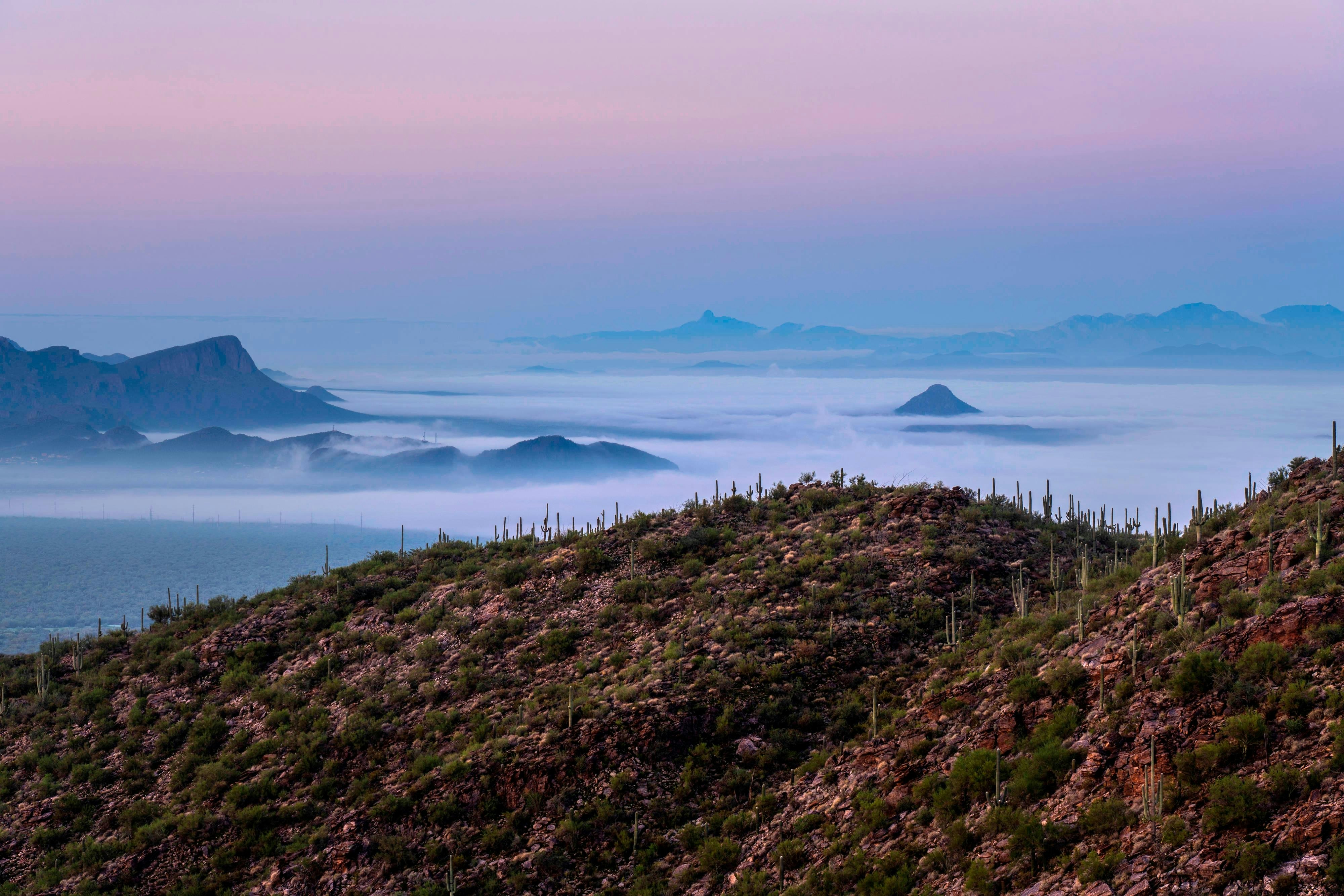 The Ritz Carlton Dove Mountain 39/51