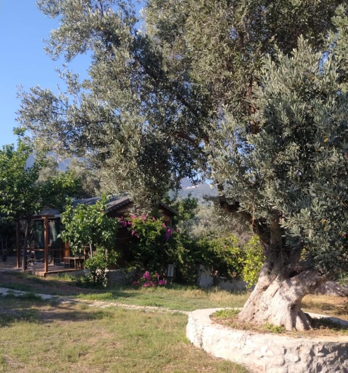 Bahar Bahce Datca 25/39