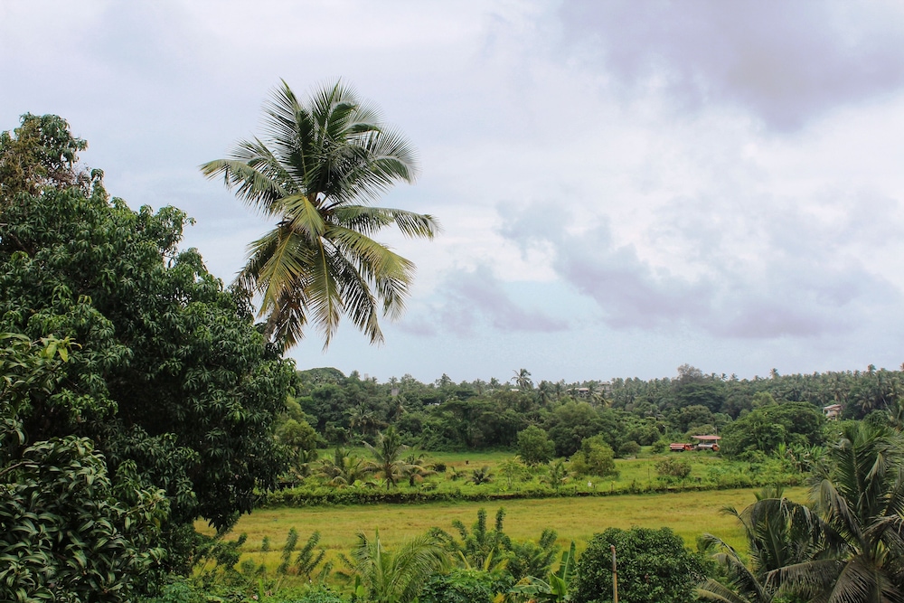 Aastha Escape Resort 48/57