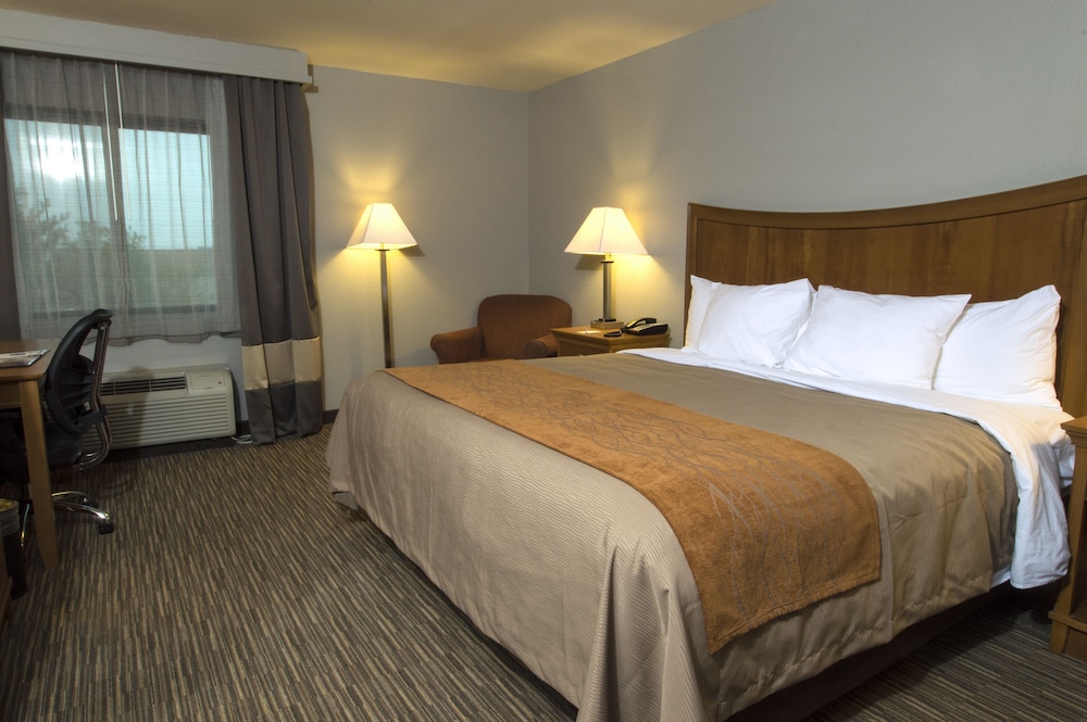 Comfort Inn South - Springfield 13/34