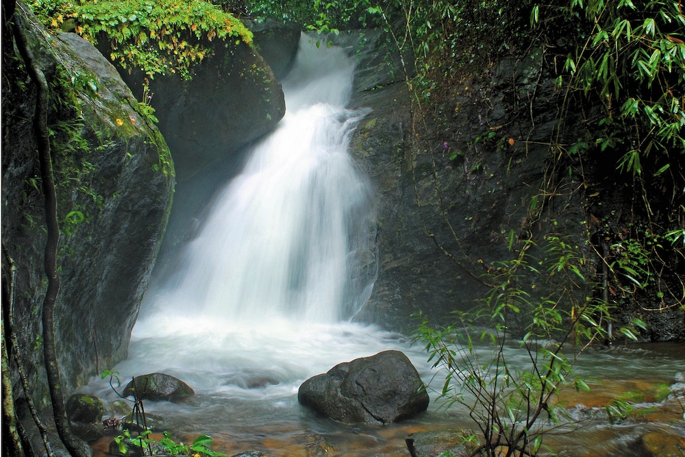 VYTHIRI RESORT 39/55