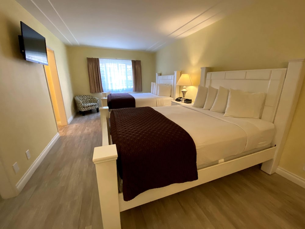 Hollywood Celebrity Hotel 22/47