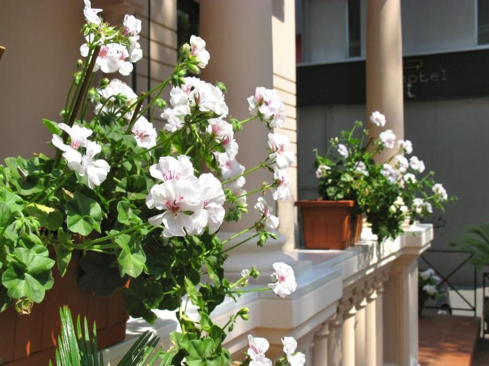 Hotel Villa Luigia 12/50