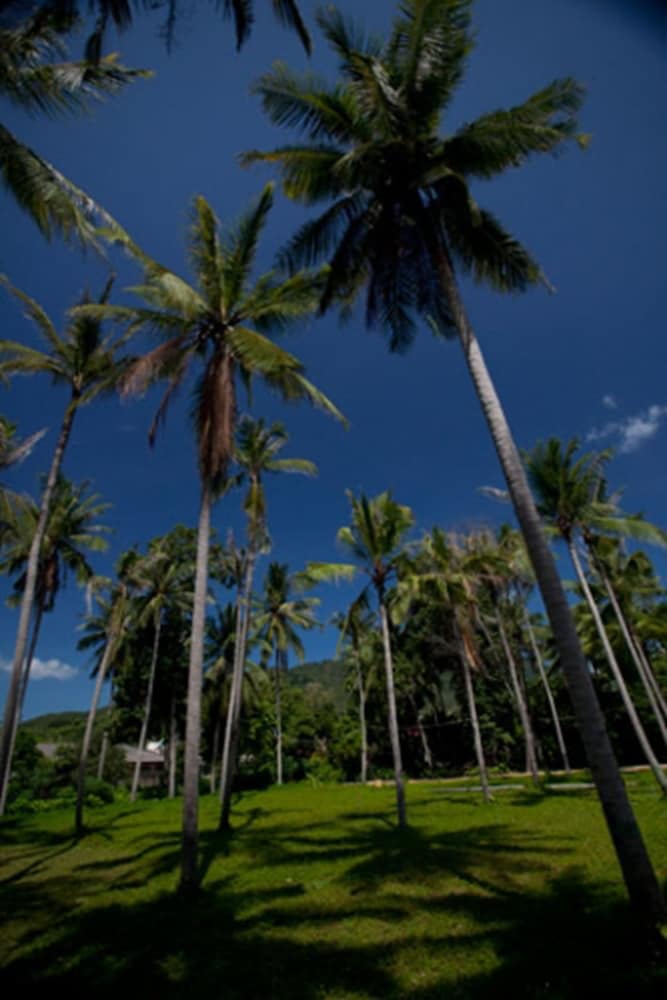 ASTROCOCO beach resort by Coconut Beach 39/42
