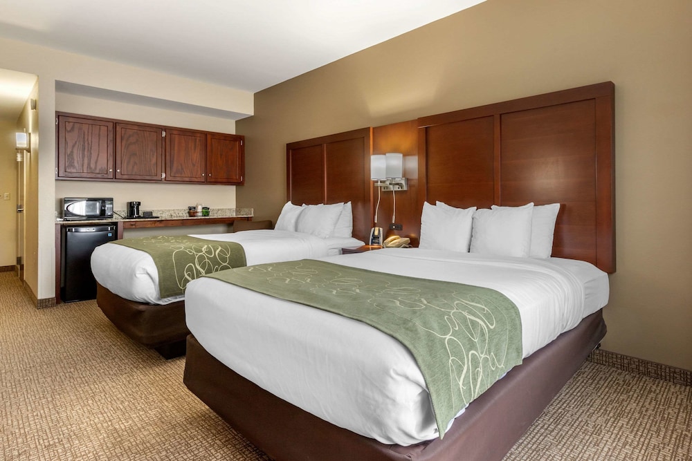 Comfort Suites Johnson City Near University 8/36