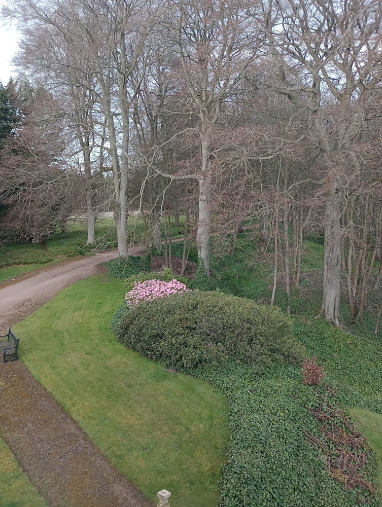 Stravithie Castle 24/41
