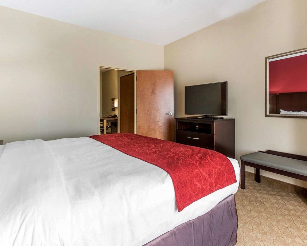 Comfort Suites Stockbridge Atlanta South 10/39