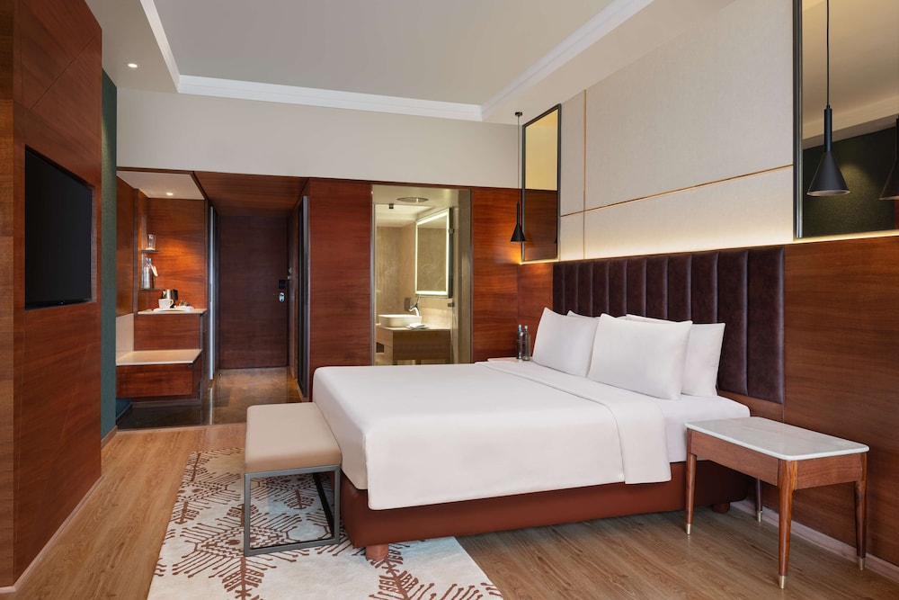 Radisson Blu Hotel Ranchi 22/68