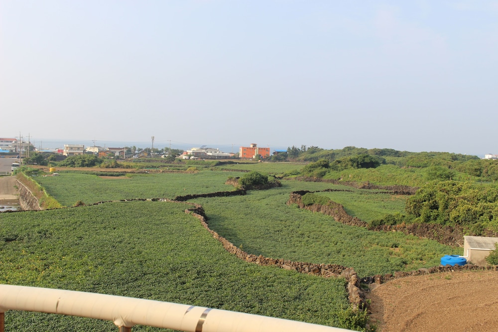 Jeju Feel House 31/50