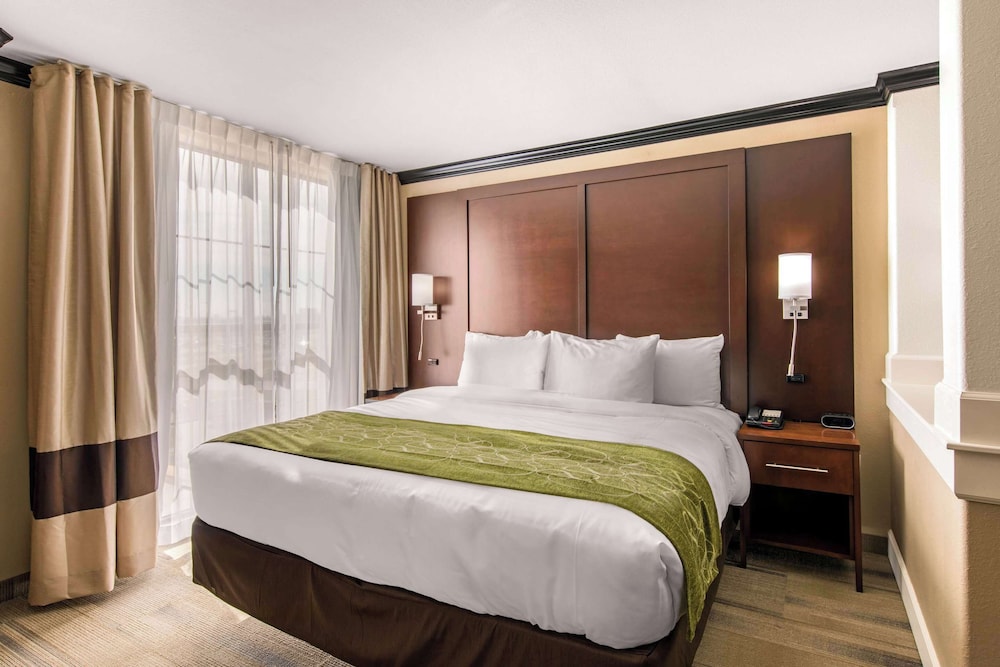 Efficiency, Suite, King Bed, Sofa