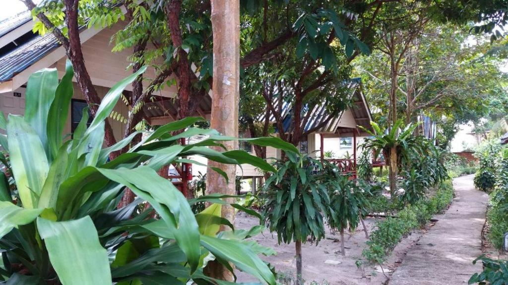 Lanta Long Beach Hostel 39/50