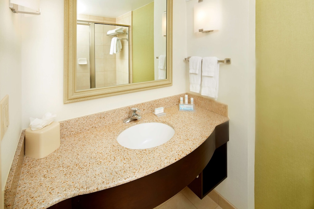Hilton Garden Inn Savannah Midtown 7/43