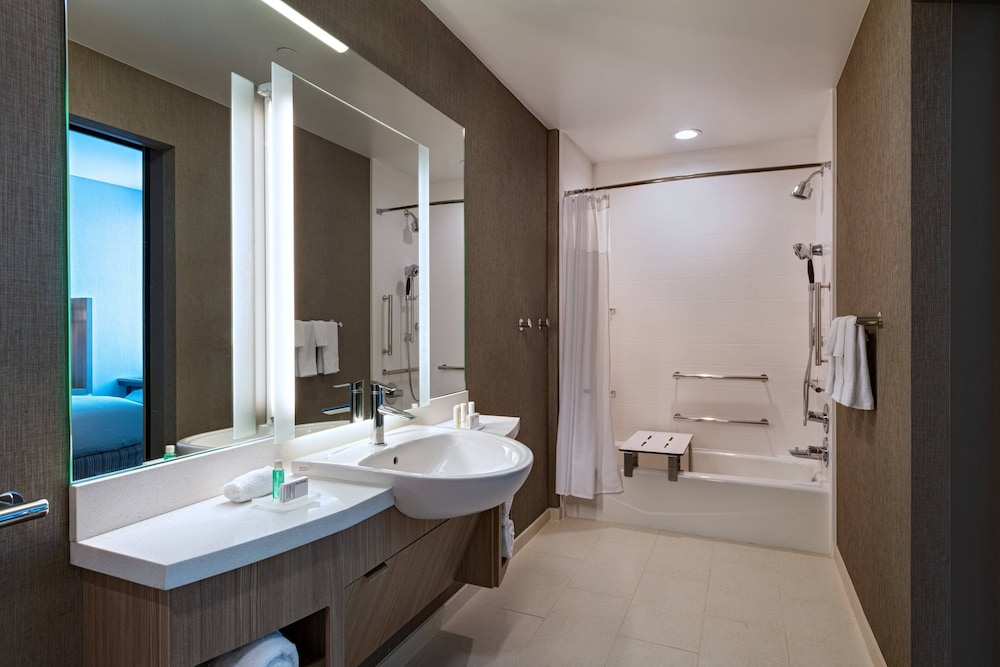 SpringHill Suites by Marriott Dallas Richardson/University Area 10/51