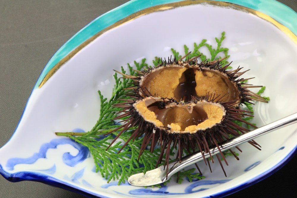 Hirayama Ryokan 7/30