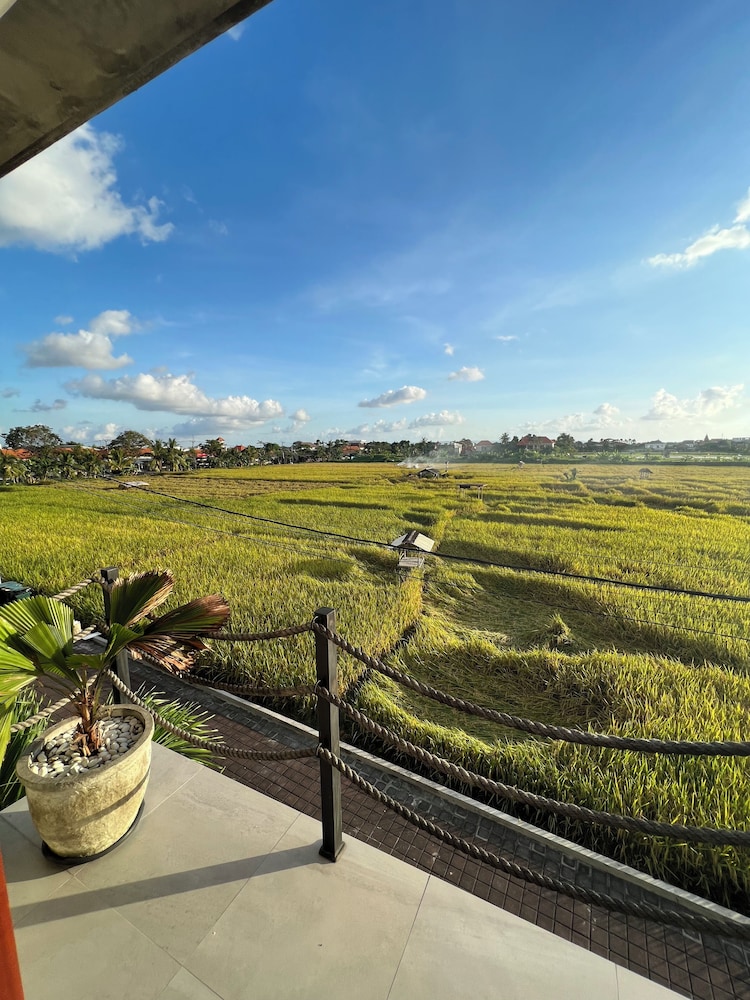 Canggu Hype 42/48