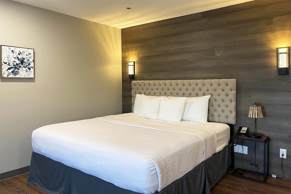 Deluxe, Studio, Suite, King Bed