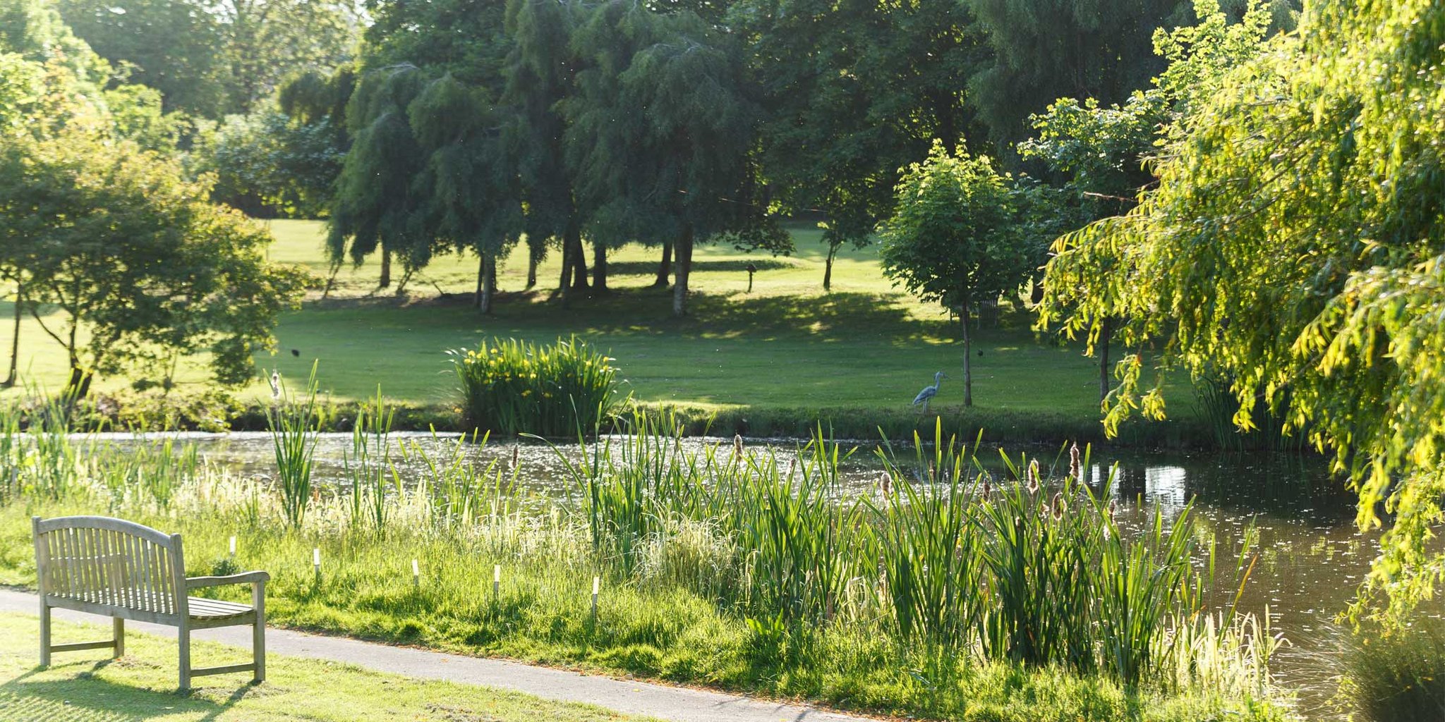 Champneys Springs 46/51