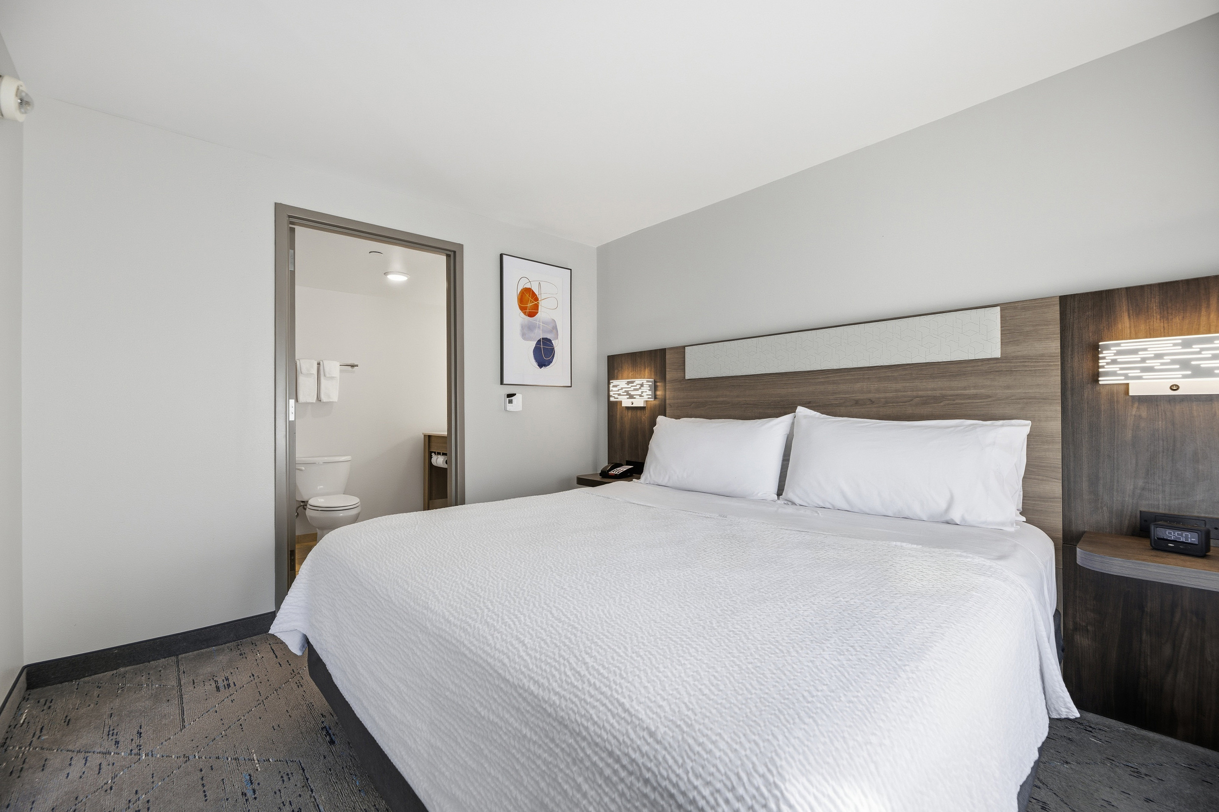Holiday Inn Express & Suites Raleigh West - Lenovo Center 27/102