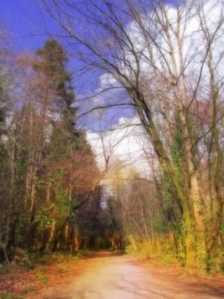 DOWNHILL INN 57/62