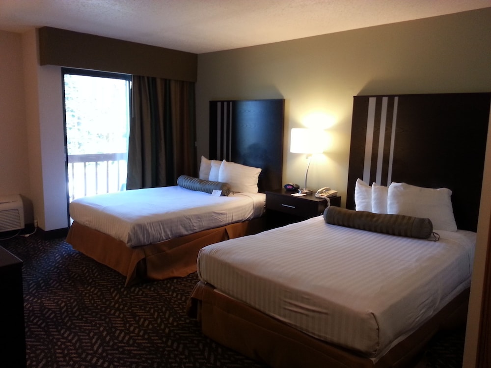 Best Western Indian Oak 8/36