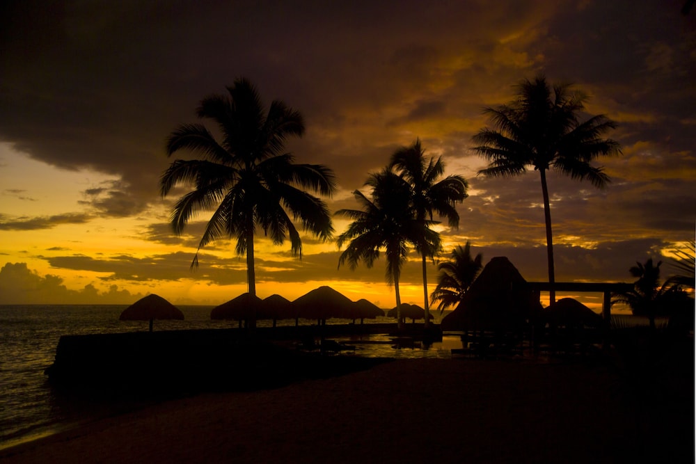 Coconuts Beach Club Resort and Spa 42/60