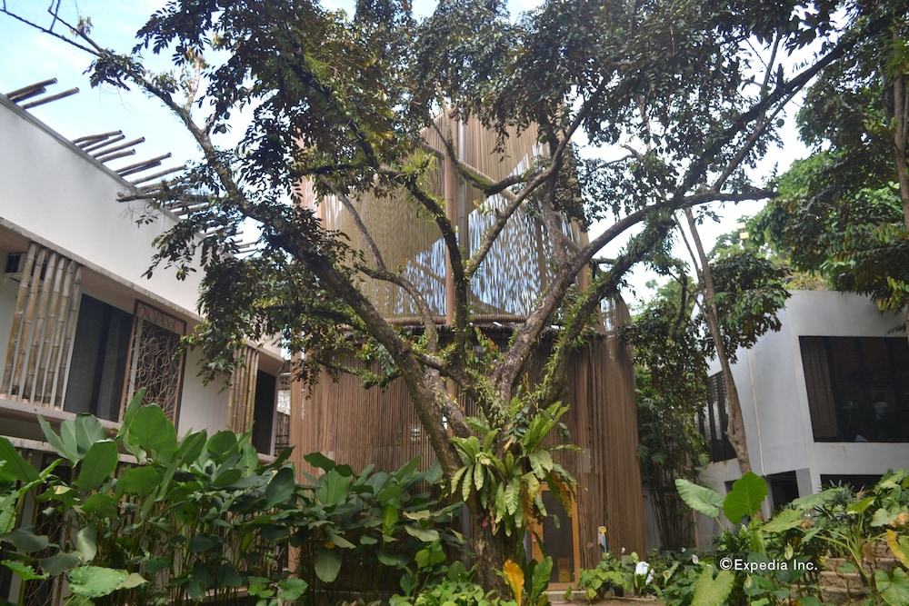 surroundings
