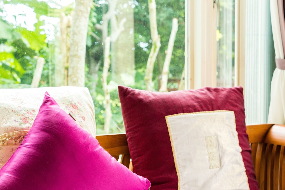 Dreamhome B &amp; B 25/50