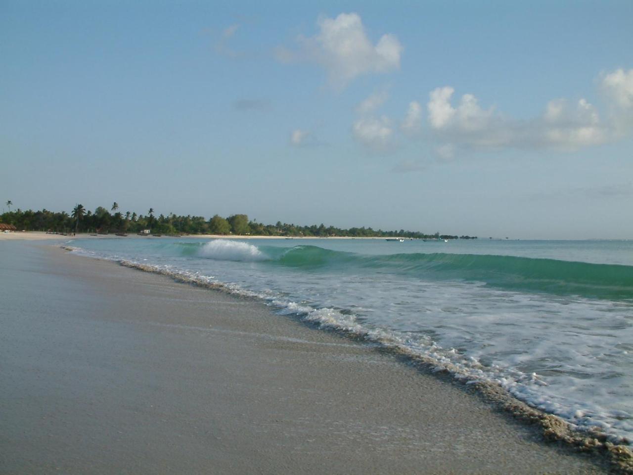 Kipepeo Beach And Village 54/62