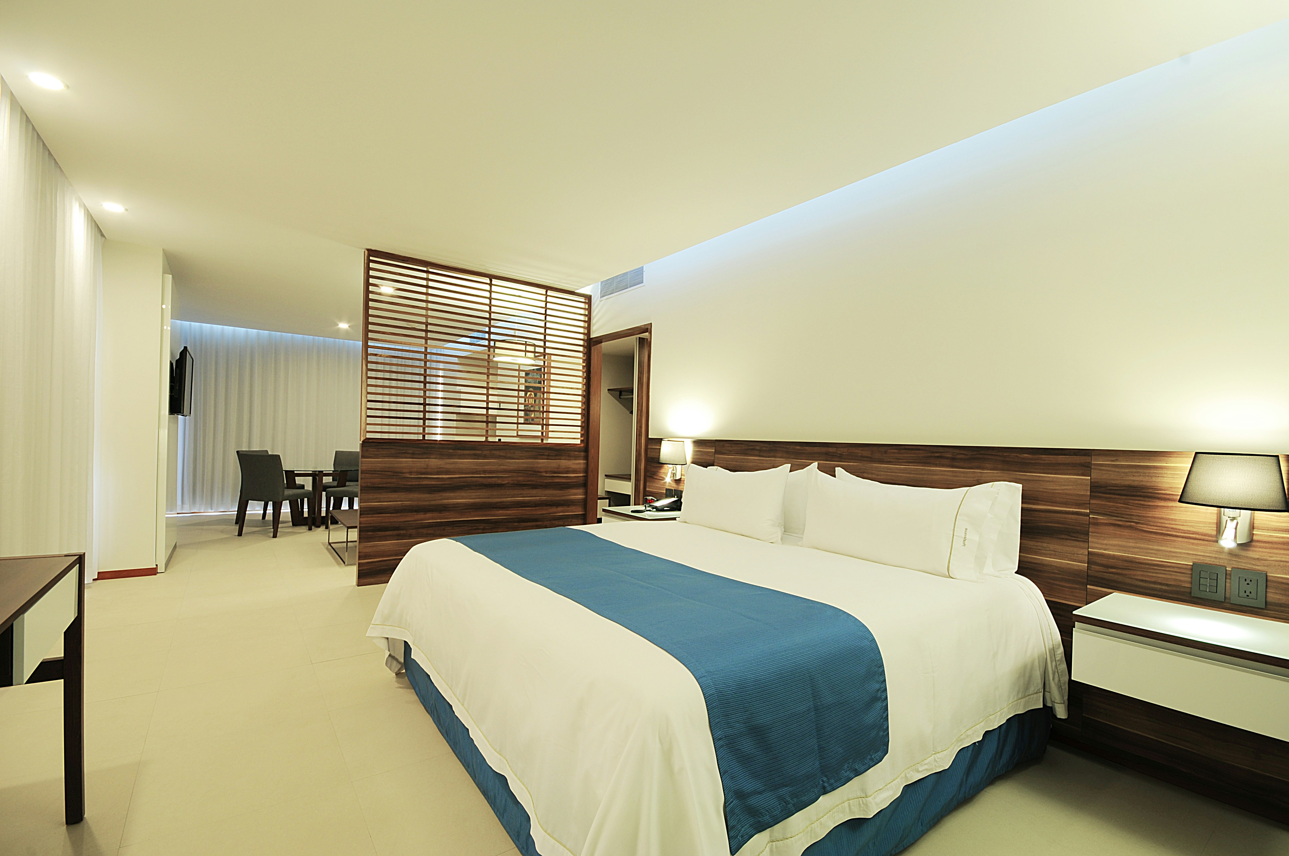 Holiday Inn Express Puerto Vallarta 13/50