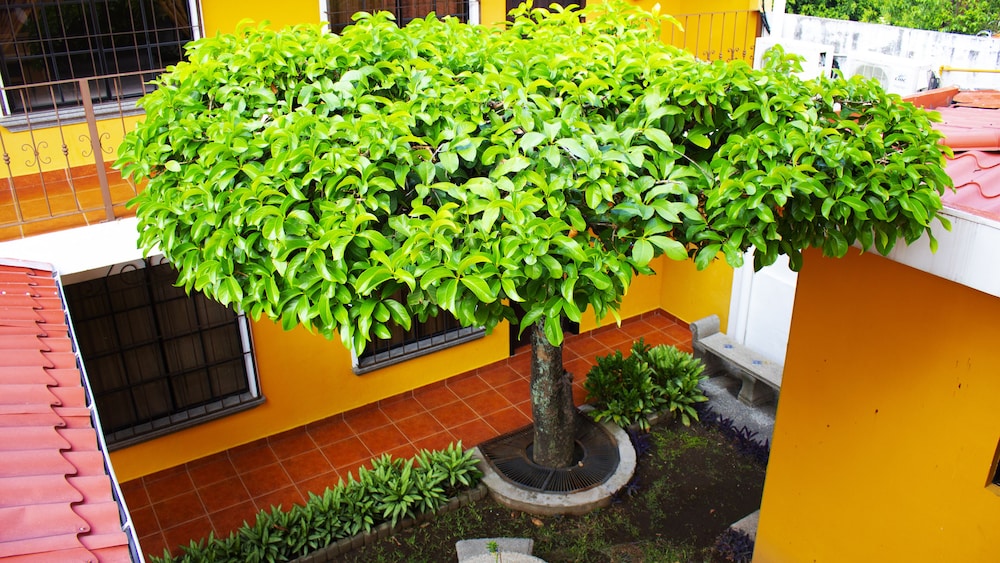VILLA TERRA HOTEL 44/50