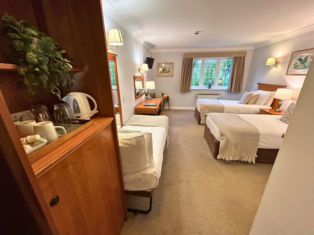 New Forest Lodge 21/37