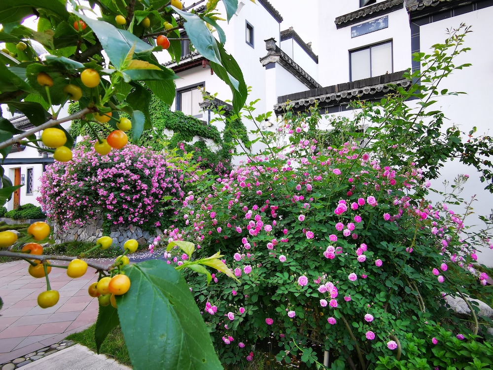 Huangshan Huizhou Creek Villa 22/38