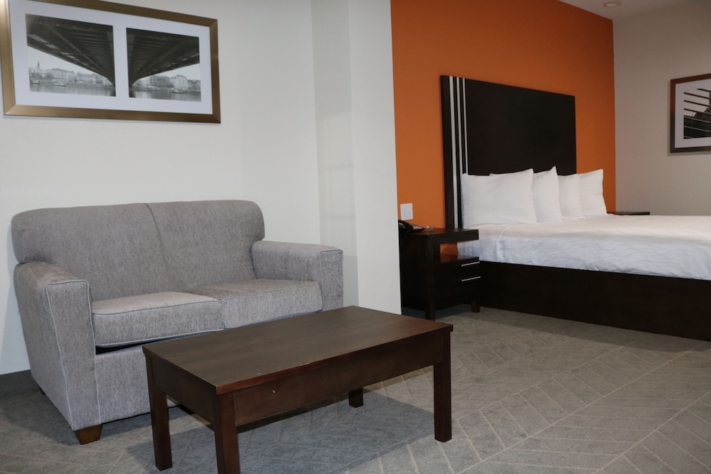 Scottish Inn and Suites IAH Airport 32/46