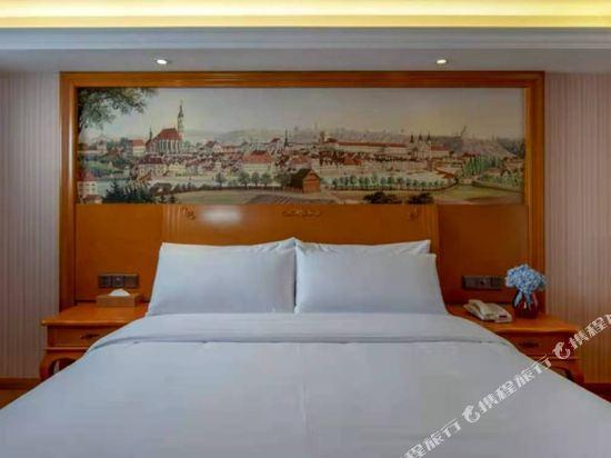Vienna Hotel (Xi'an West Avenue Sunshine City) 33/54