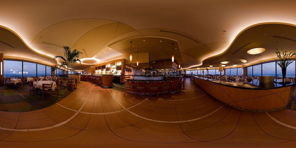 Disneys Contemporary Resort 38/50