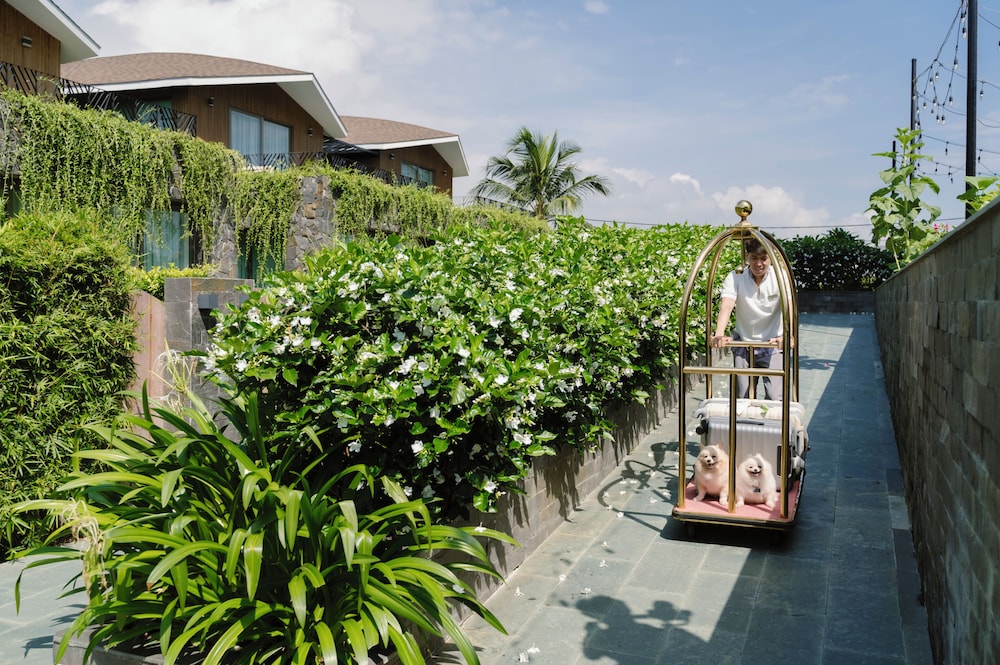 Bellerive Hoi An Resort & Spa 42/50