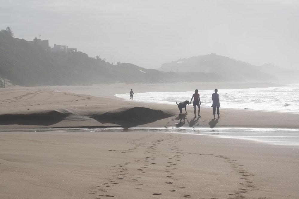 The Pink Lodge On The Beach 28/40